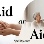 Aid or Aide