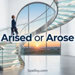 Arised or Arose