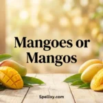 Mangoes or Mangos