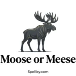Moose or Meese