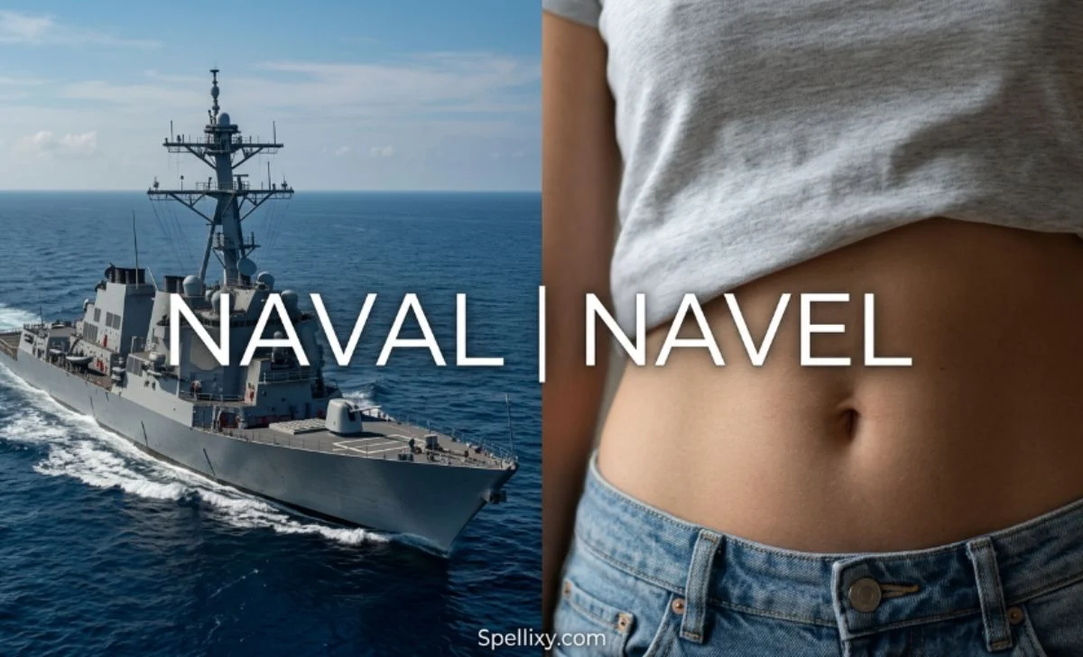 Naval or Navel