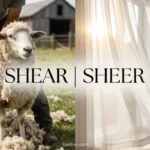 shear or sheer